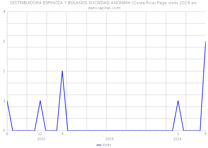 DISTRIBUIDORA ESPINOZA Y BOLAŃOS SOCIEDAD ANONIMA (Costa Rica) Page visits 2024 