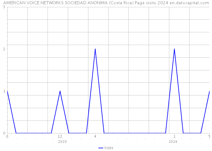 AMERICAN VOICE NETWORKS SOCIEDAD ANONIMA (Costa Rica) Page visits 2024 