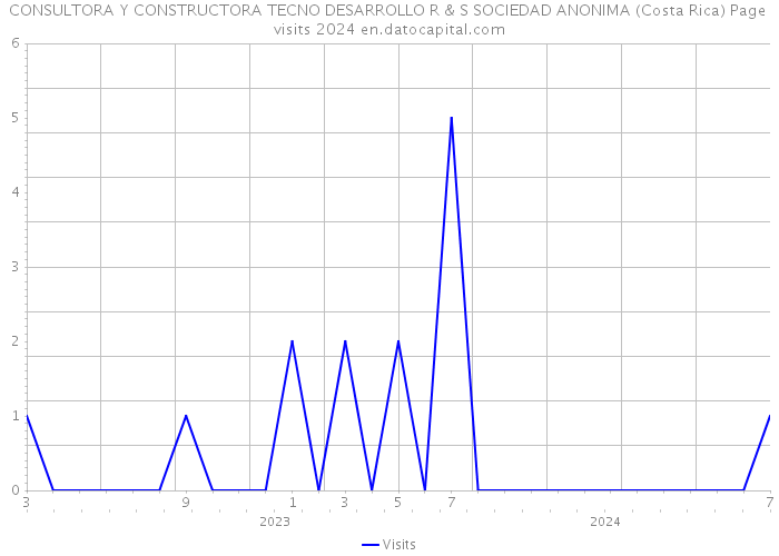 CONSULTORA Y CONSTRUCTORA TECNO DESARROLLO R & S SOCIEDAD ANONIMA (Costa Rica) Page visits 2024 