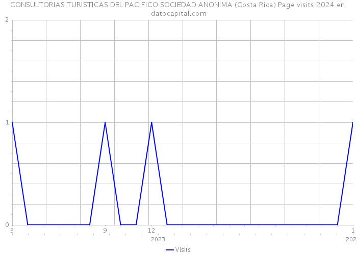 CONSULTORIAS TURISTICAS DEL PACIFICO SOCIEDAD ANONIMA (Costa Rica) Page visits 2024 