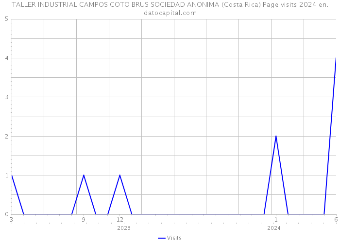 TALLER INDUSTRIAL CAMPOS COTO BRUS SOCIEDAD ANONIMA (Costa Rica) Page visits 2024 