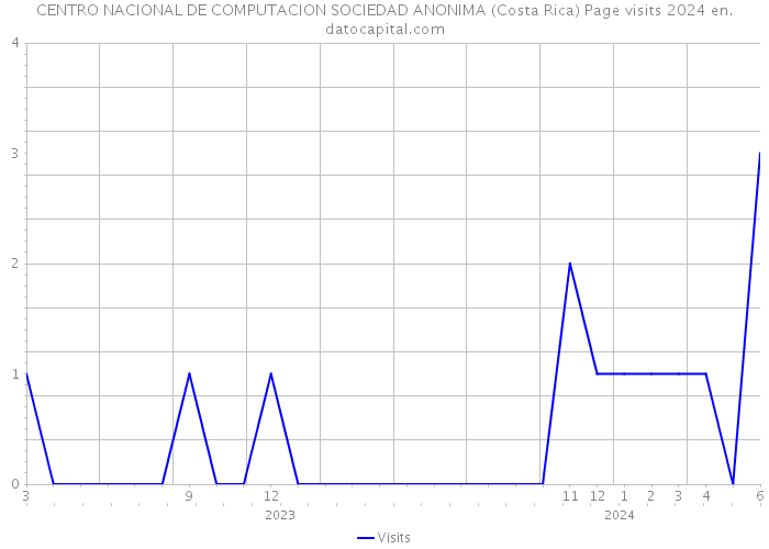 CENTRO NACIONAL DE COMPUTACION SOCIEDAD ANONIMA (Costa Rica) Page visits 2024 