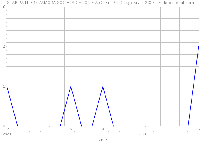 STAR PAINTERS ZAMORA SOCIEDAD ANONIMA (Costa Rica) Page visits 2024 