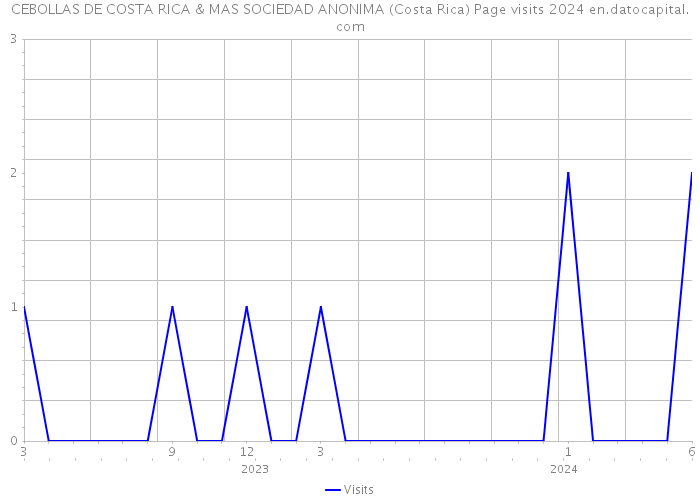 CEBOLLAS DE COSTA RICA & MAS SOCIEDAD ANONIMA (Costa Rica) Page visits 2024 
