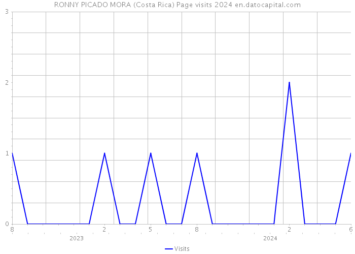RONNY PICADO MORA (Costa Rica) Page visits 2024 