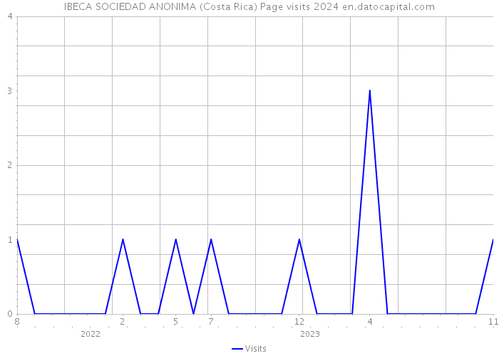 IBECA SOCIEDAD ANONIMA (Costa Rica) Page visits 2024 