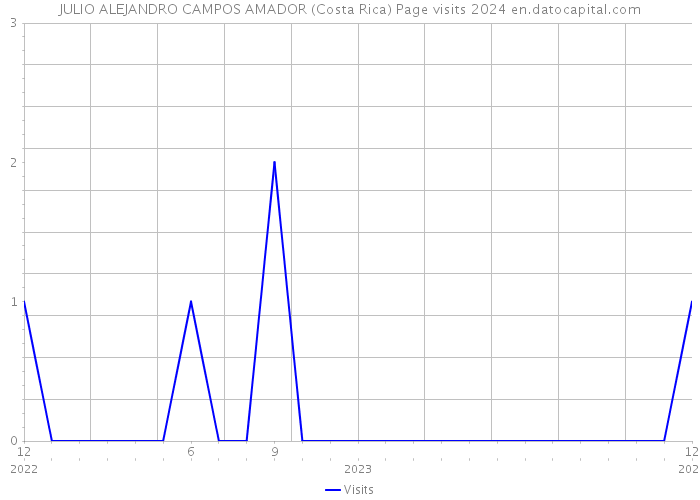 JULIO ALEJANDRO CAMPOS AMADOR (Costa Rica) Page visits 2024 