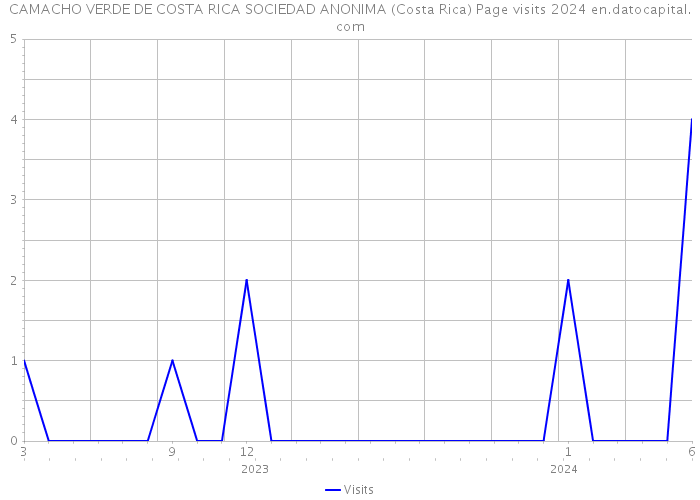 CAMACHO VERDE DE COSTA RICA SOCIEDAD ANONIMA (Costa Rica) Page visits 2024 