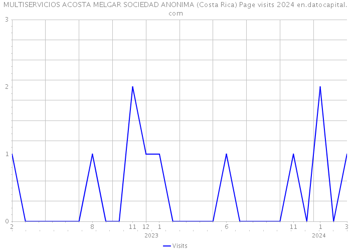 MULTISERVICIOS ACOSTA MELGAR SOCIEDAD ANONIMA (Costa Rica) Page visits 2024 