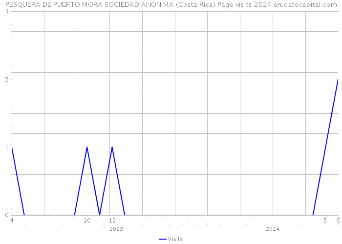PESQUERA DE PUERTO MORA SOCIEDAD ANONIMA (Costa Rica) Page visits 2024 