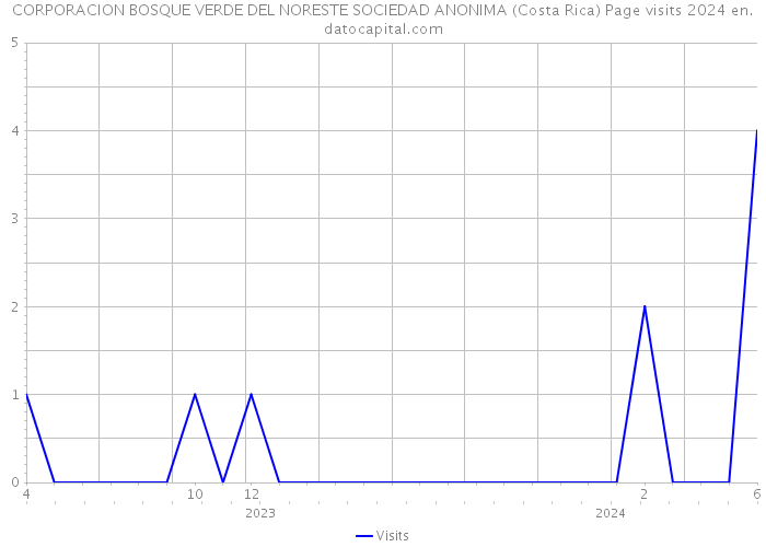 CORPORACION BOSQUE VERDE DEL NORESTE SOCIEDAD ANONIMA (Costa Rica) Page visits 2024 