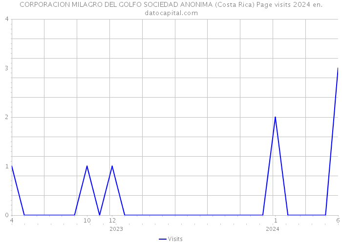 CORPORACION MILAGRO DEL GOLFO SOCIEDAD ANONIMA (Costa Rica) Page visits 2024 