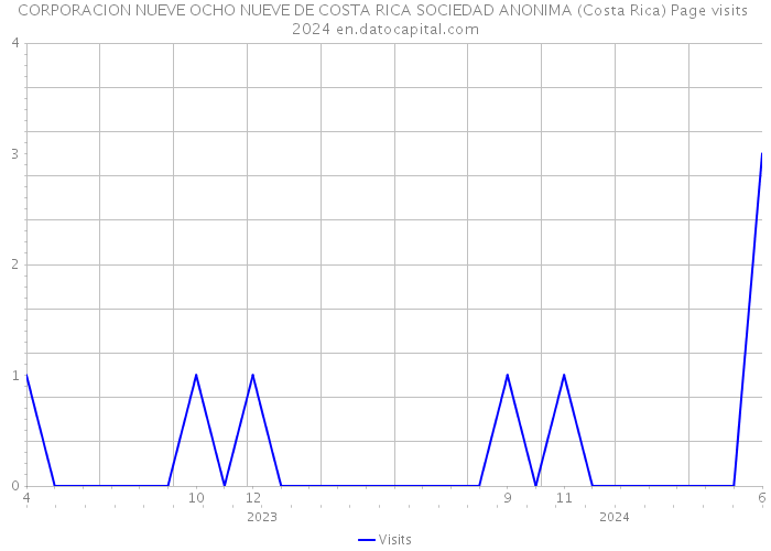 CORPORACION NUEVE OCHO NUEVE DE COSTA RICA SOCIEDAD ANONIMA (Costa Rica) Page visits 2024 