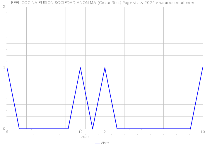 FEEL COCINA FUSION SOCIEDAD ANONIMA (Costa Rica) Page visits 2024 