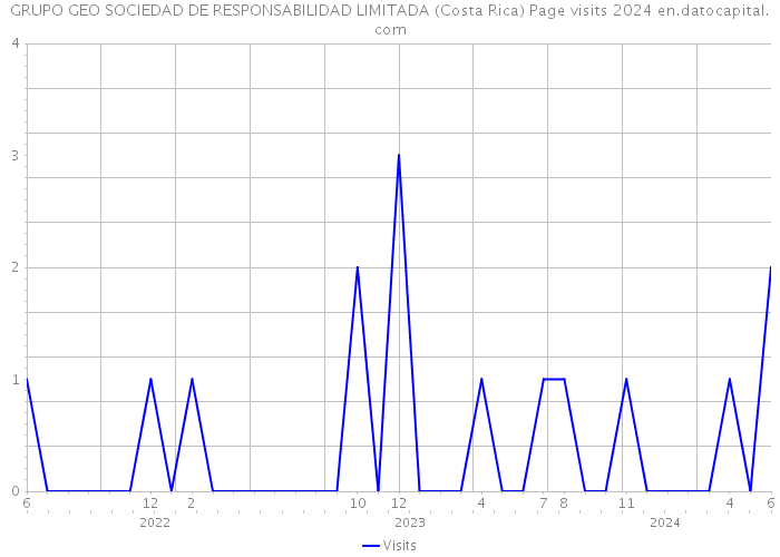 GRUPO GEO SOCIEDAD DE RESPONSABILIDAD LIMITADA (Costa Rica) Page visits 2024 