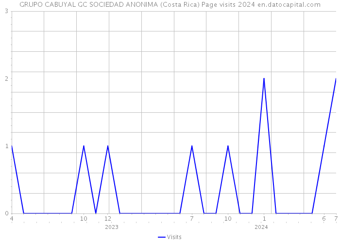 GRUPO CABUYAL GC SOCIEDAD ANONIMA (Costa Rica) Page visits 2024 