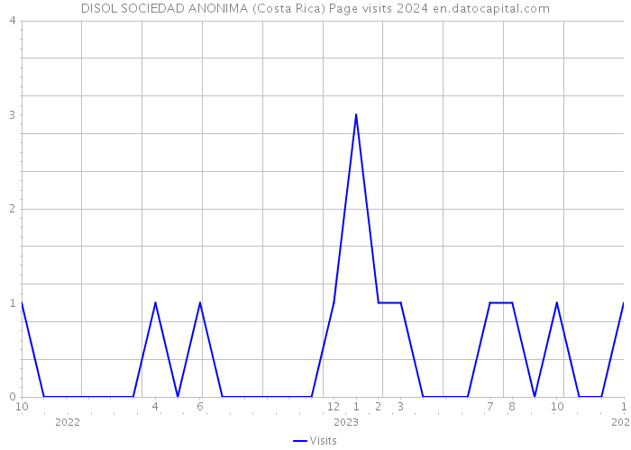 DISOL SOCIEDAD ANONIMA (Costa Rica) Page visits 2024 
