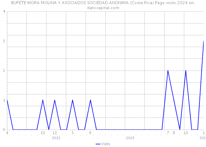 BUFETE MORA MOLINA Y ASOCIADOS SOCIEDAD ANONIMA (Costa Rica) Page visits 2024 