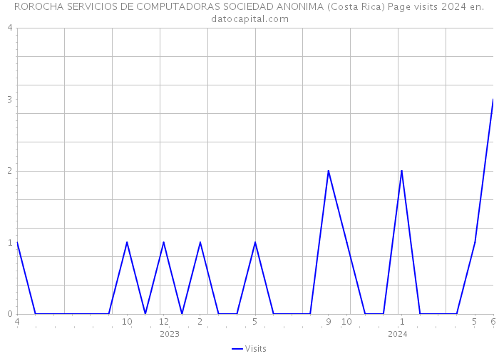 ROROCHA SERVICIOS DE COMPUTADORAS SOCIEDAD ANONIMA (Costa Rica) Page visits 2024 