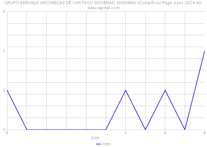 GRUPO AREVALO ARCINIEGAS DE CARTAGO SOCIEDAD ANONIMA (Costa Rica) Page visits 2024 