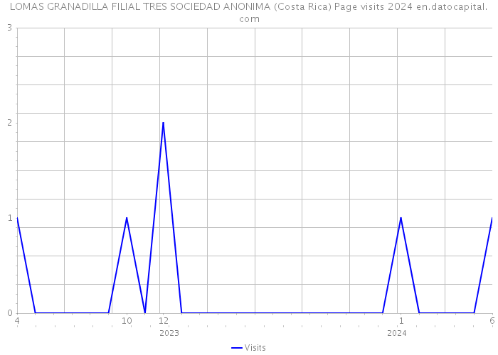 LOMAS GRANADILLA FILIAL TRES SOCIEDAD ANONIMA (Costa Rica) Page visits 2024 