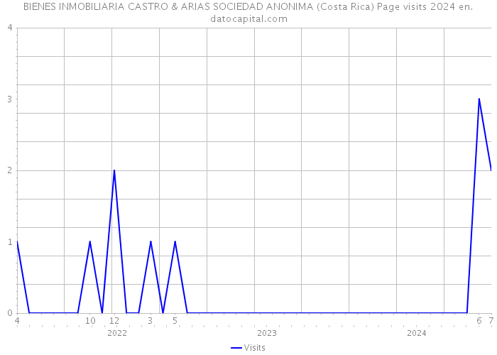 BIENES INMOBILIARIA CASTRO & ARIAS SOCIEDAD ANONIMA (Costa Rica) Page visits 2024 