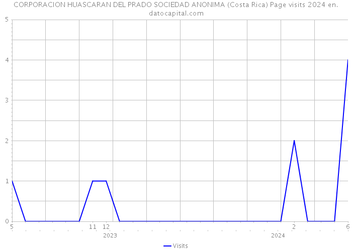 CORPORACION HUASCARAN DEL PRADO SOCIEDAD ANONIMA (Costa Rica) Page visits 2024 