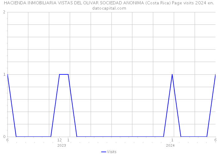 HACIENDA INMOBILIARIA VISTAS DEL OLIVAR SOCIEDAD ANONIMA (Costa Rica) Page visits 2024 