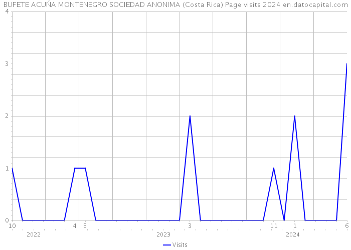 BUFETE ACUŃA MONTENEGRO SOCIEDAD ANONIMA (Costa Rica) Page visits 2024 