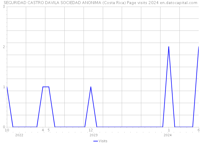 SEGURIDAD CASTRO DAVILA SOCIEDAD ANONIMA (Costa Rica) Page visits 2024 