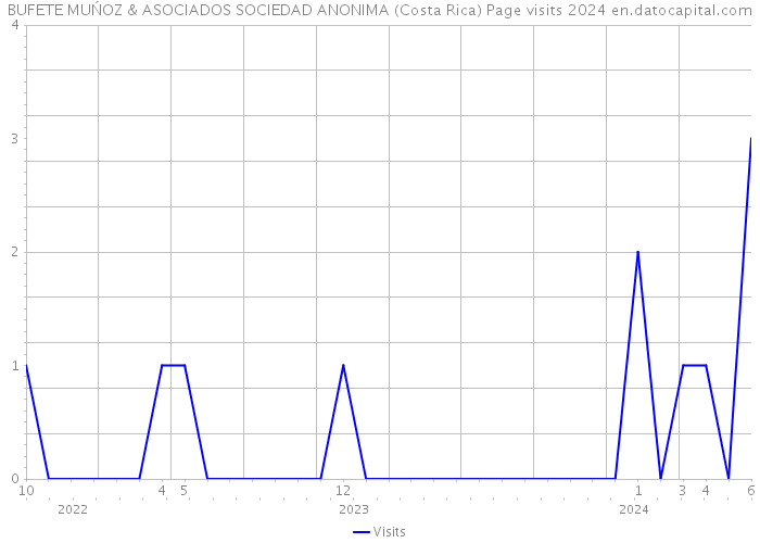 BUFETE MUŃOZ & ASOCIADOS SOCIEDAD ANONIMA (Costa Rica) Page visits 2024 