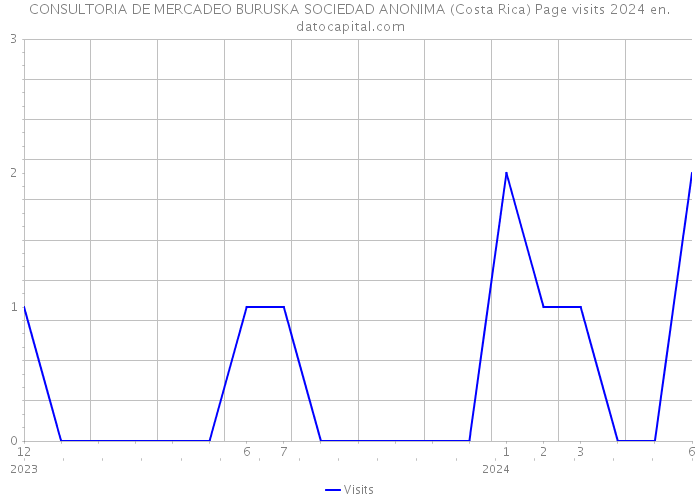 CONSULTORIA DE MERCADEO BURUSKA SOCIEDAD ANONIMA (Costa Rica) Page visits 2024 