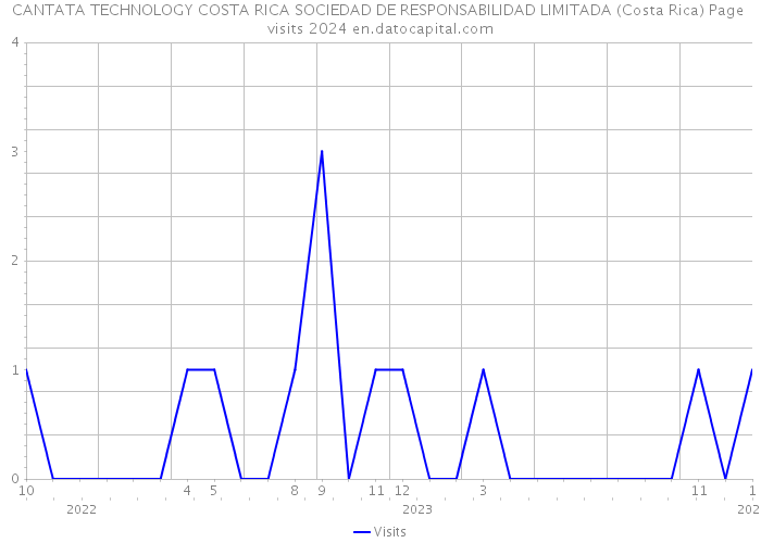 CANTATA TECHNOLOGY COSTA RICA SOCIEDAD DE RESPONSABILIDAD LIMITADA (Costa Rica) Page visits 2024 