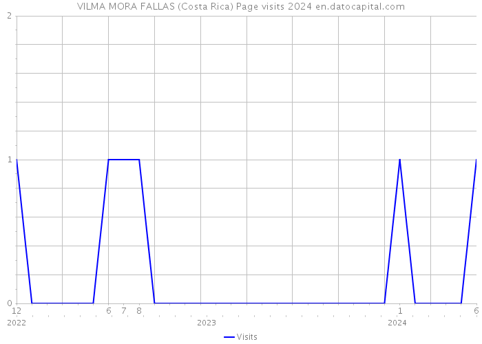 VILMA MORA FALLAS (Costa Rica) Page visits 2024 