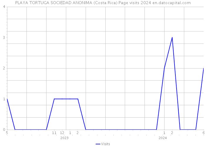 PLAYA TORTUGA SOCIEDAD ANONIMA (Costa Rica) Page visits 2024 