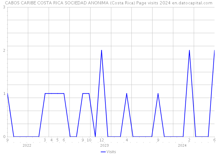 CABOS CARIBE COSTA RICA SOCIEDAD ANONIMA (Costa Rica) Page visits 2024 