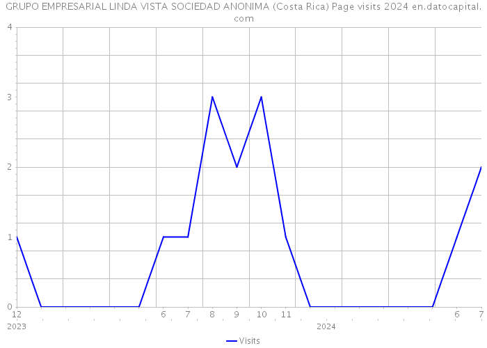 GRUPO EMPRESARIAL LINDA VISTA SOCIEDAD ANONIMA (Costa Rica) Page visits 2024 