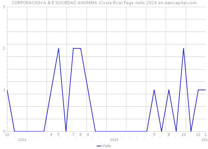 CORPORACION A & E SOCIEDAD ANONIMA (Costa Rica) Page visits 2024 