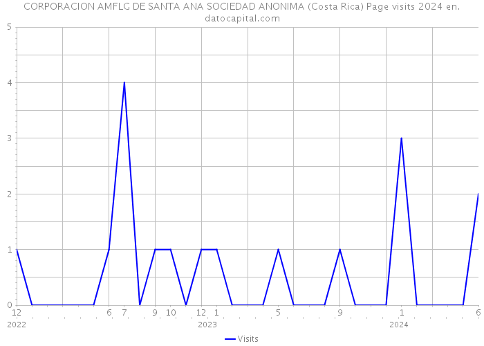 CORPORACION AMFLG DE SANTA ANA SOCIEDAD ANONIMA (Costa Rica) Page visits 2024 