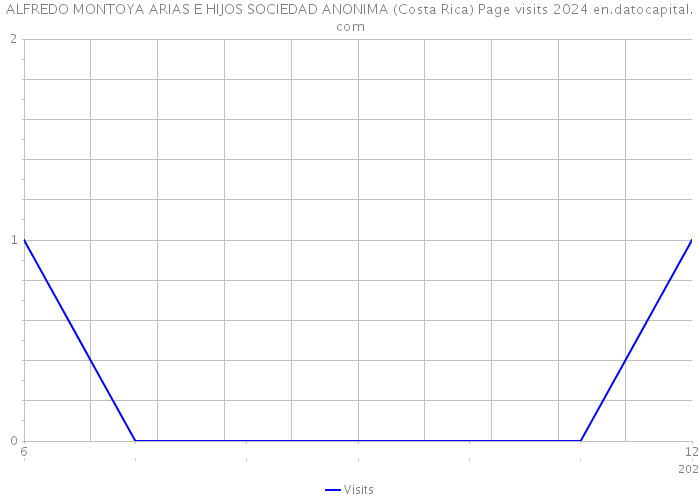 ALFREDO MONTOYA ARIAS E HIJOS SOCIEDAD ANONIMA (Costa Rica) Page visits 2024 