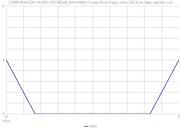 CORPORACION VAYRO SOCIEDAD ANONIMA (Costa Rica) Page visits 2024 