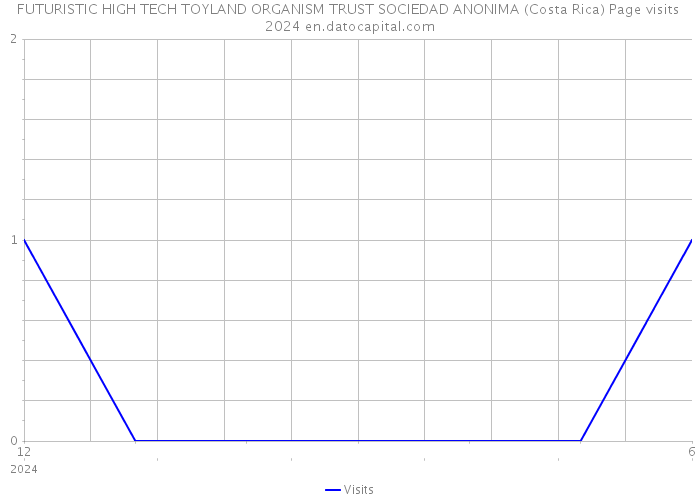 FUTURISTIC HIGH TECH TOYLAND ORGANISM TRUST SOCIEDAD ANONIMA (Costa Rica) Page visits 2024 