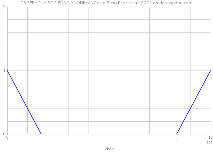 GS SERATNA SOCIEDAD ANONIMA (Costa Rica) Page visits 2024 