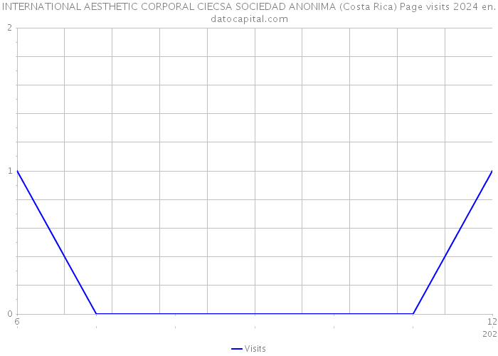INTERNATIONAL AESTHETIC CORPORAL CIECSA SOCIEDAD ANONIMA (Costa Rica) Page visits 2024 