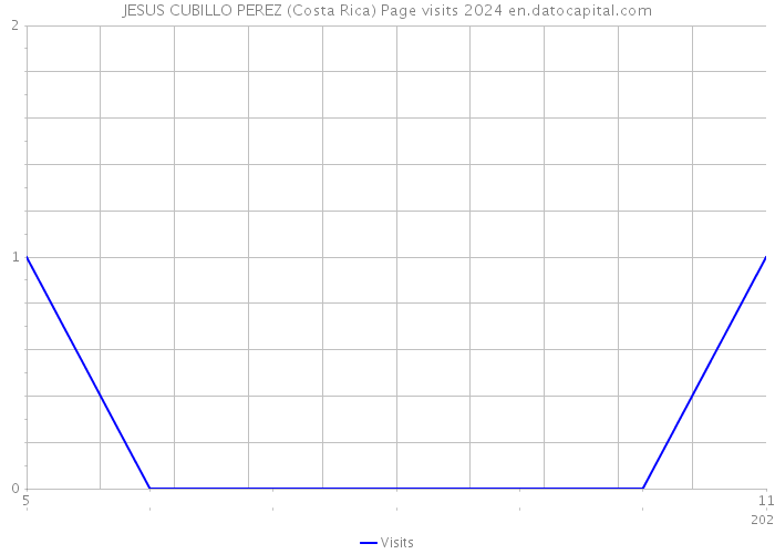 JESUS CUBILLO PEREZ (Costa Rica) Page visits 2024 