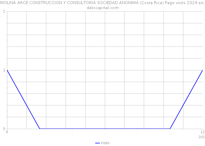 MOLINA ARCE CONSTRUCCION Y CONSULTORIA SOCIEDAD ANONIMA (Costa Rica) Page visits 2024 