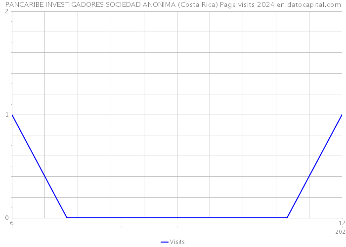 PANCARIBE INVESTIGADORES SOCIEDAD ANONIMA (Costa Rica) Page visits 2024 