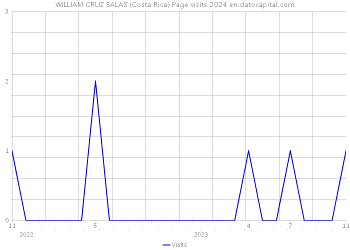 WILLIAM CRUZ SALAS (Costa Rica) Page visits 2024 