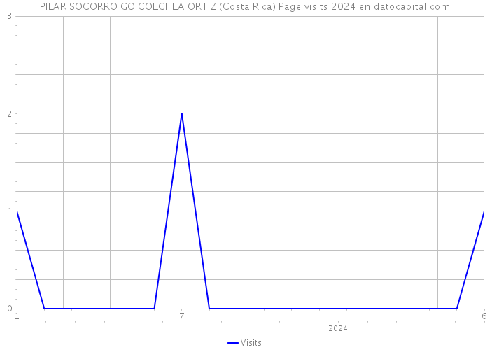 PILAR SOCORRO GOICOECHEA ORTIZ (Costa Rica) Page visits 2024 
