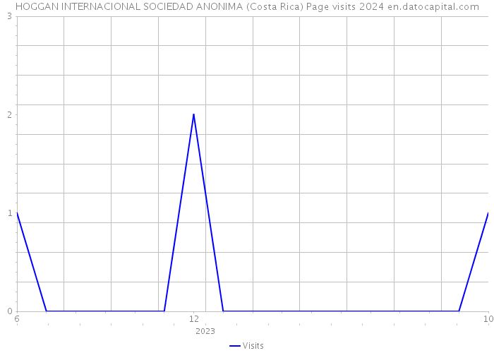 HOGGAN INTERNACIONAL SOCIEDAD ANONIMA (Costa Rica) Page visits 2024 